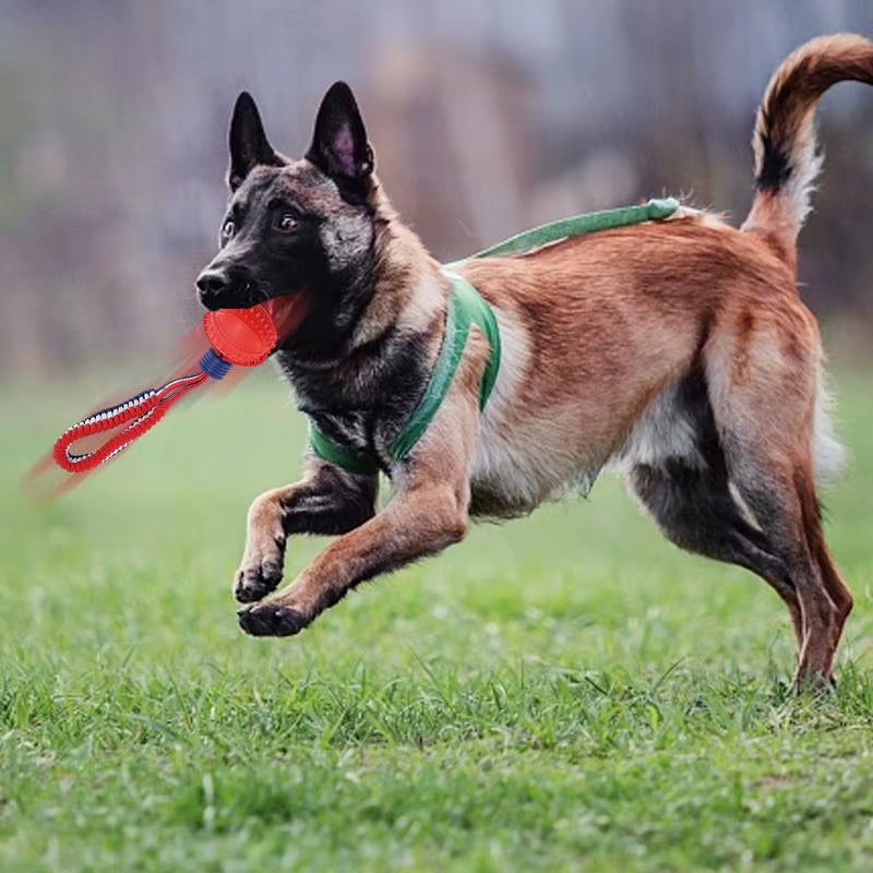 Dog Ball Toy with Rope Interactive Teether with Rope Dog Ball Pet Supplies Chewing Ball Training for Living Room Lake Beach